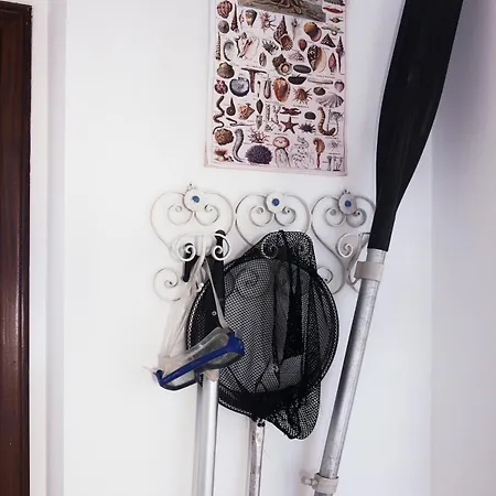 Casasantosa Un Tuffo In Mare E Sport